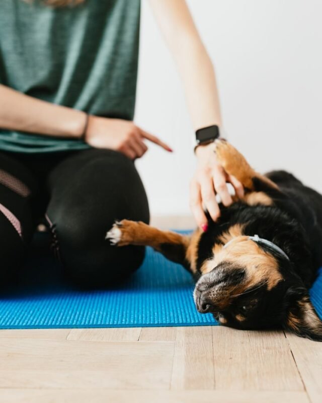 Sensitive Digestion Review
